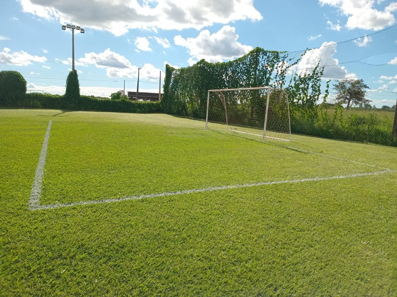 Gramado e gol do campo de futebol